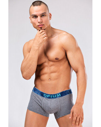 Мужские трусы R-109 Melange Grey
