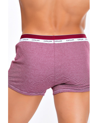 Мужские трусы R-112 Claret-White Мужские трусы R-112 Claret-White