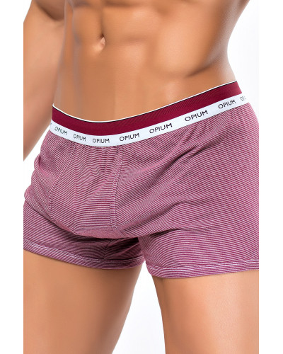 Мужские трусы R-112 Claret-White Мужские трусы R-112 Claret-White