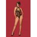 Claudusia teddy