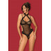 Claudusia teddy
