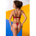 Coline body